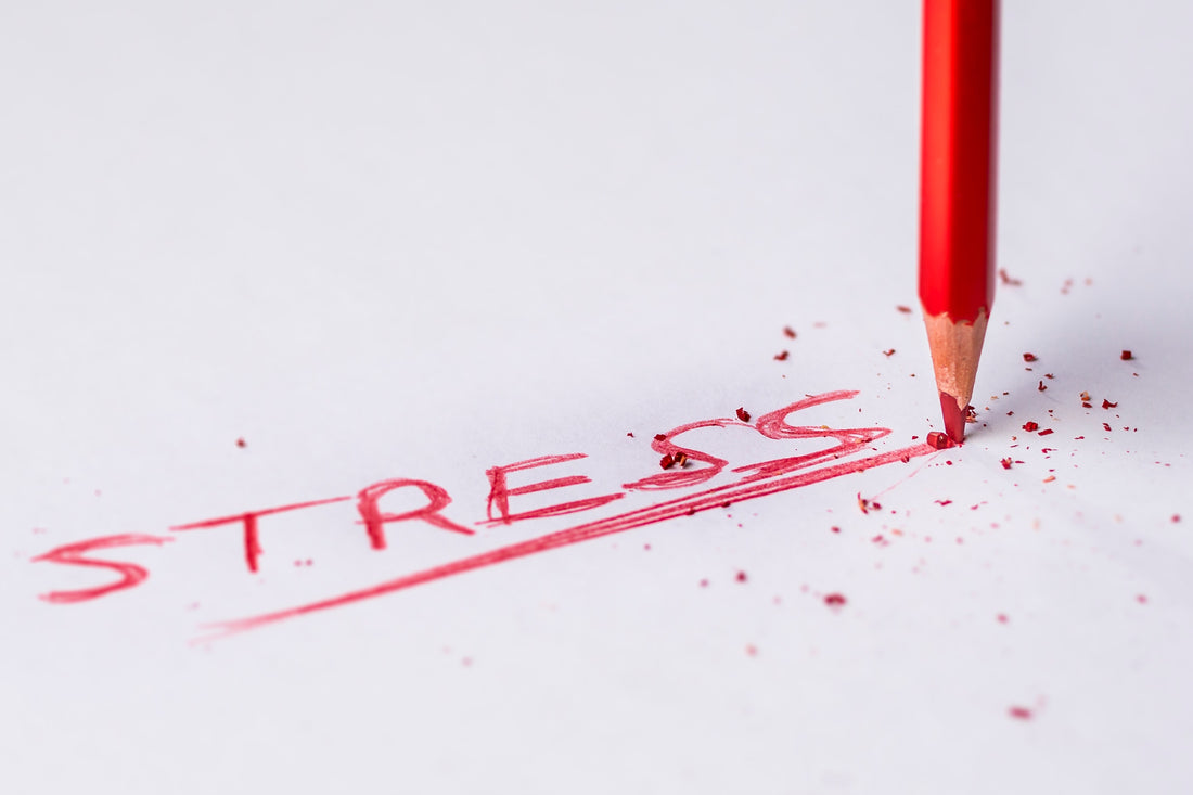 How To Cope With Life's Stressful Events